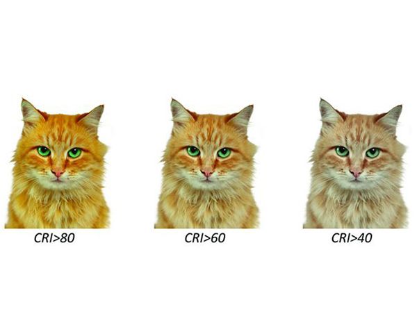 171110 lampa kolorista ntools colour check 4500 22594 171110 lampa kolorista ntools colour check 4500 22594