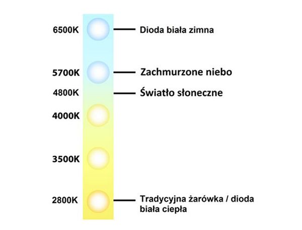 171110 lampa kolorista ntools colour check 4500 22596 171110 lampa kolorista ntools colour check 4500 22596